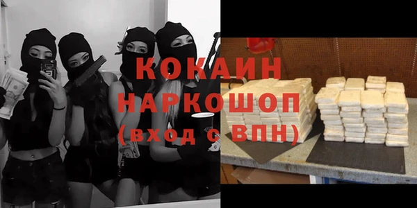 дмт Каменка