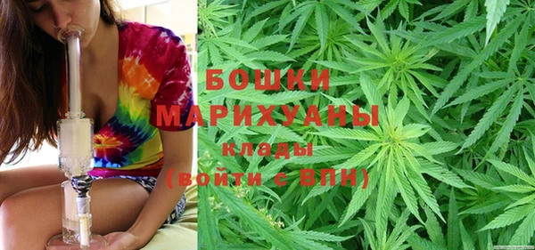 дмт Каменка