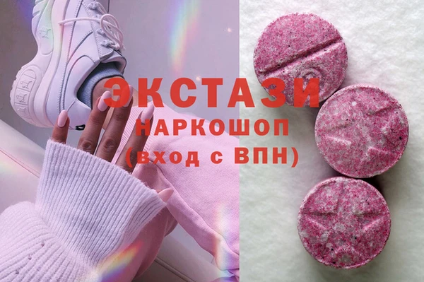 дмт Каменка