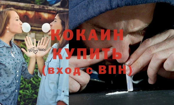 дмт Каменка