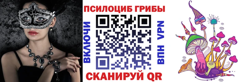 Псилоцибиновые грибы MAGIC MUSHROOMS  Купить закладки  Камышлов 