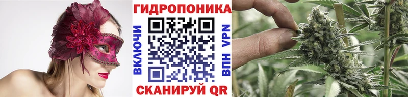 Каннабис конопля  Купить где  Камышлов 